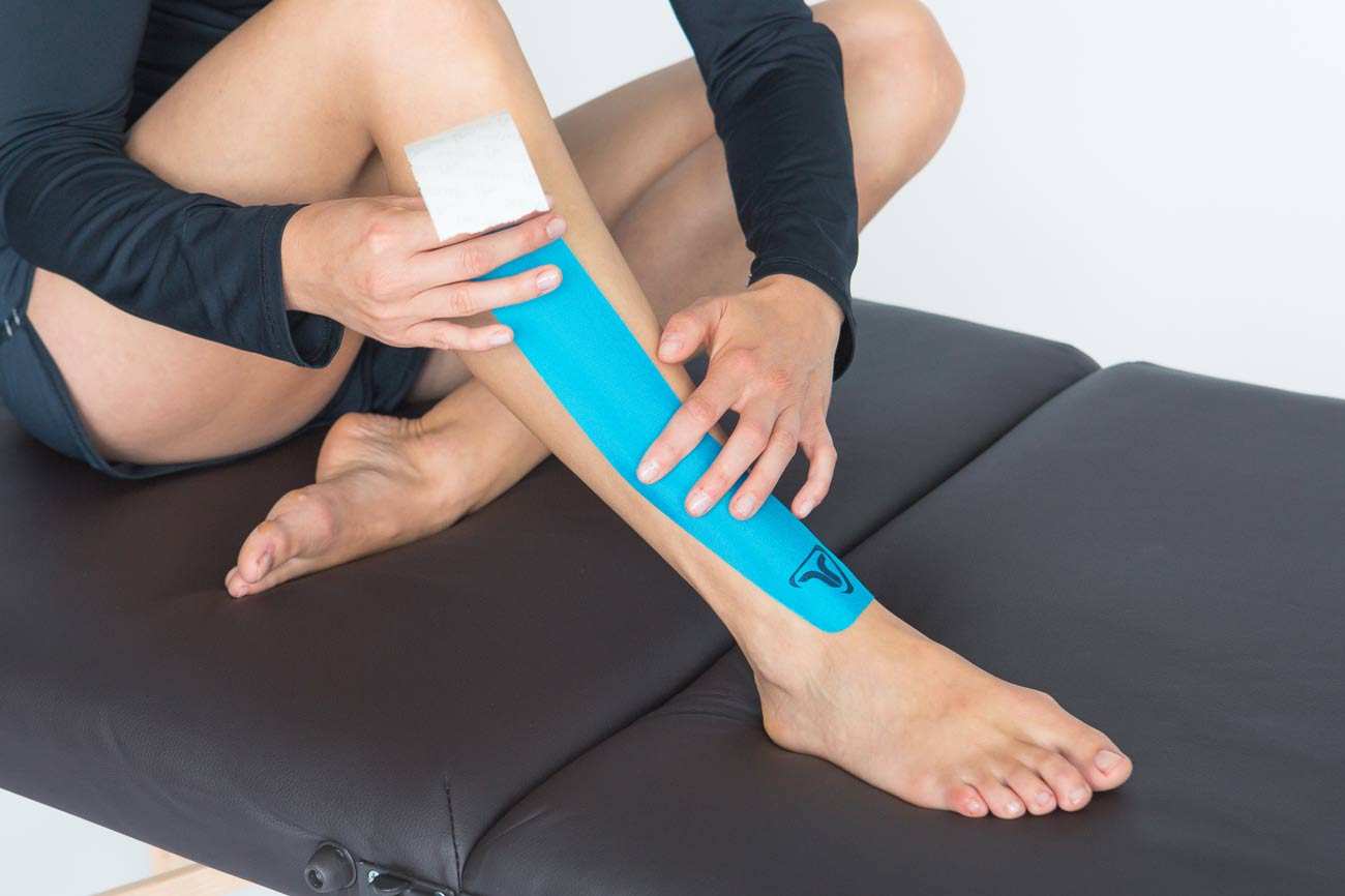 Les Muscles Releveurs Du Pied whotoad