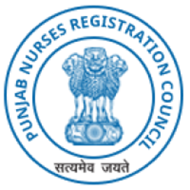 Punjab Nurses Council