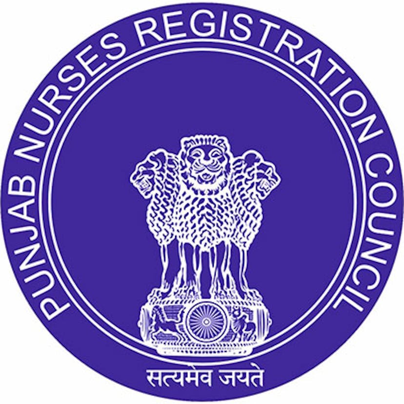 Punjab Nurses Council