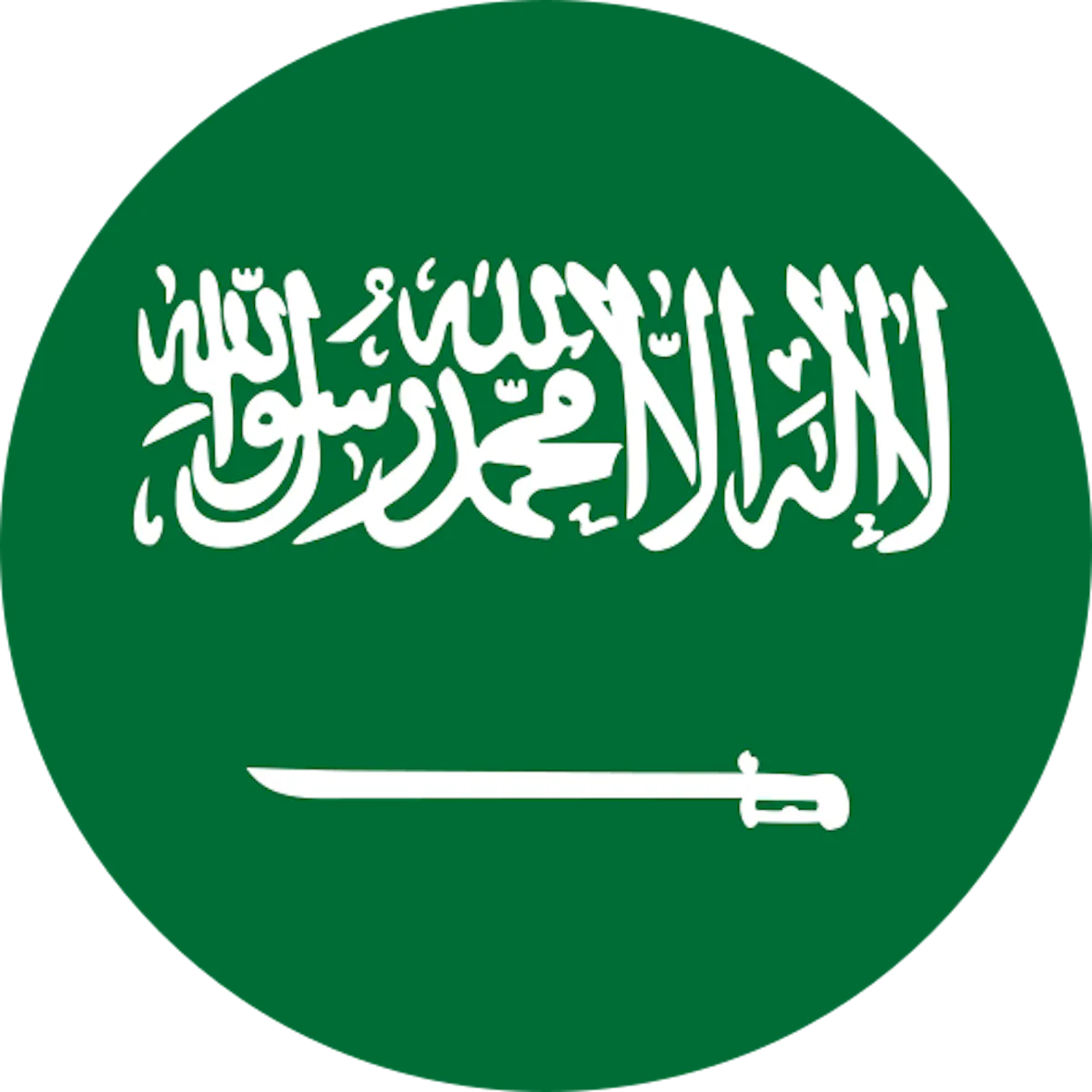 Dataflow Verification Services in India for Saudi Commission Health ...