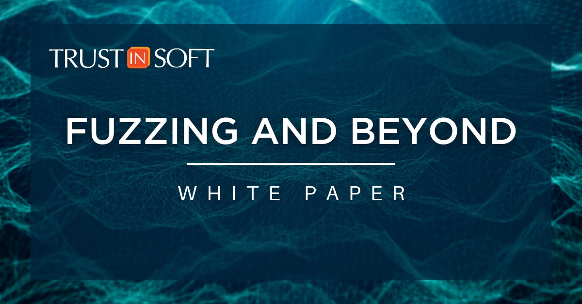 Fuzzing and beyond white paper