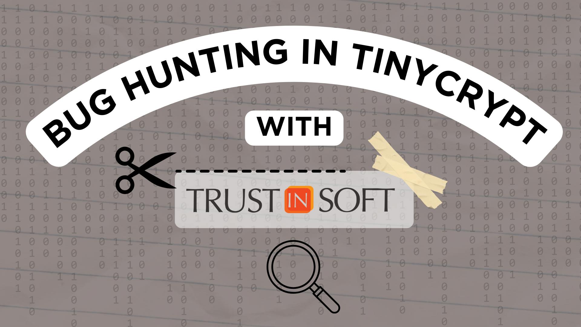 Bug Hunting in TinyCrypt with TrustInSoft