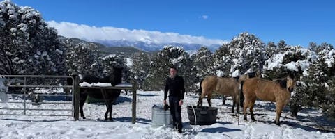 A man tends to three horses in the snow