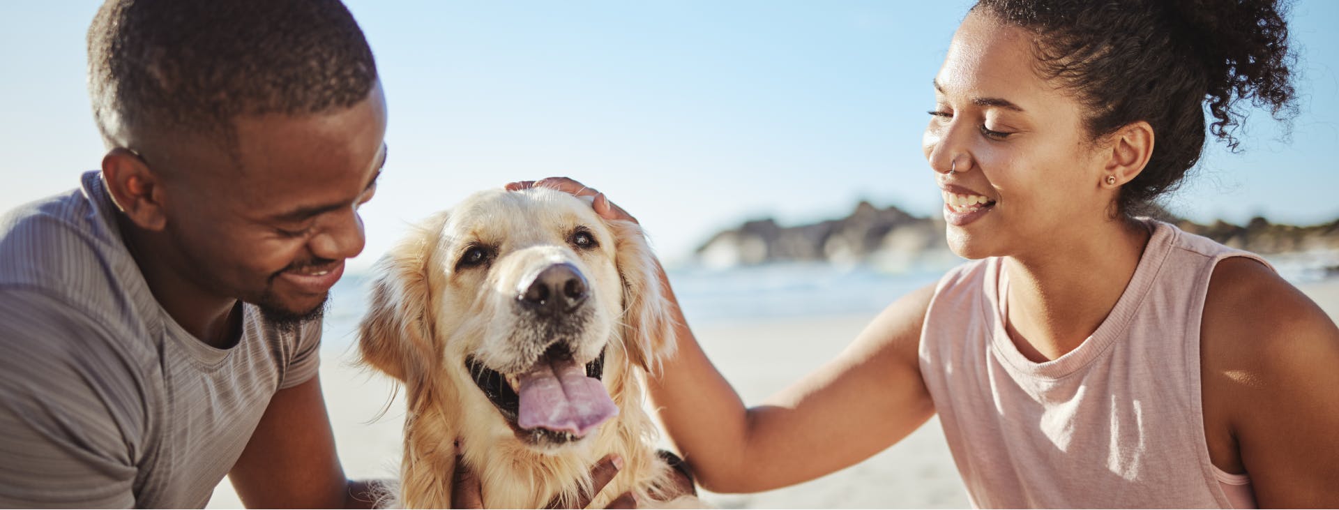 A man, woman, and a Golden Retriever on a sunny beach