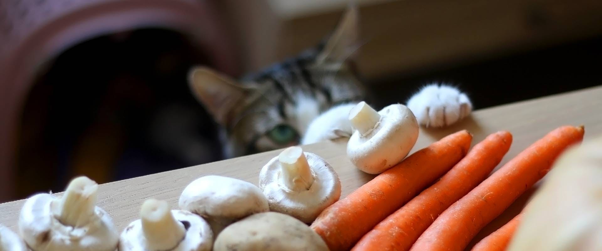 Cat hiding and stealing vegetables and mushrooms from the table