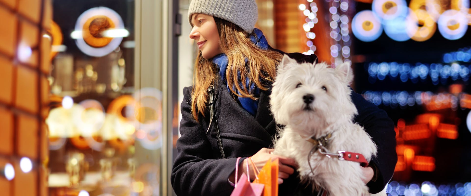 a white scottish terrier and pet owner window shopping in a pet friendly city