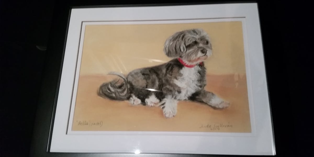 A watercolour painting of a grey and white dog