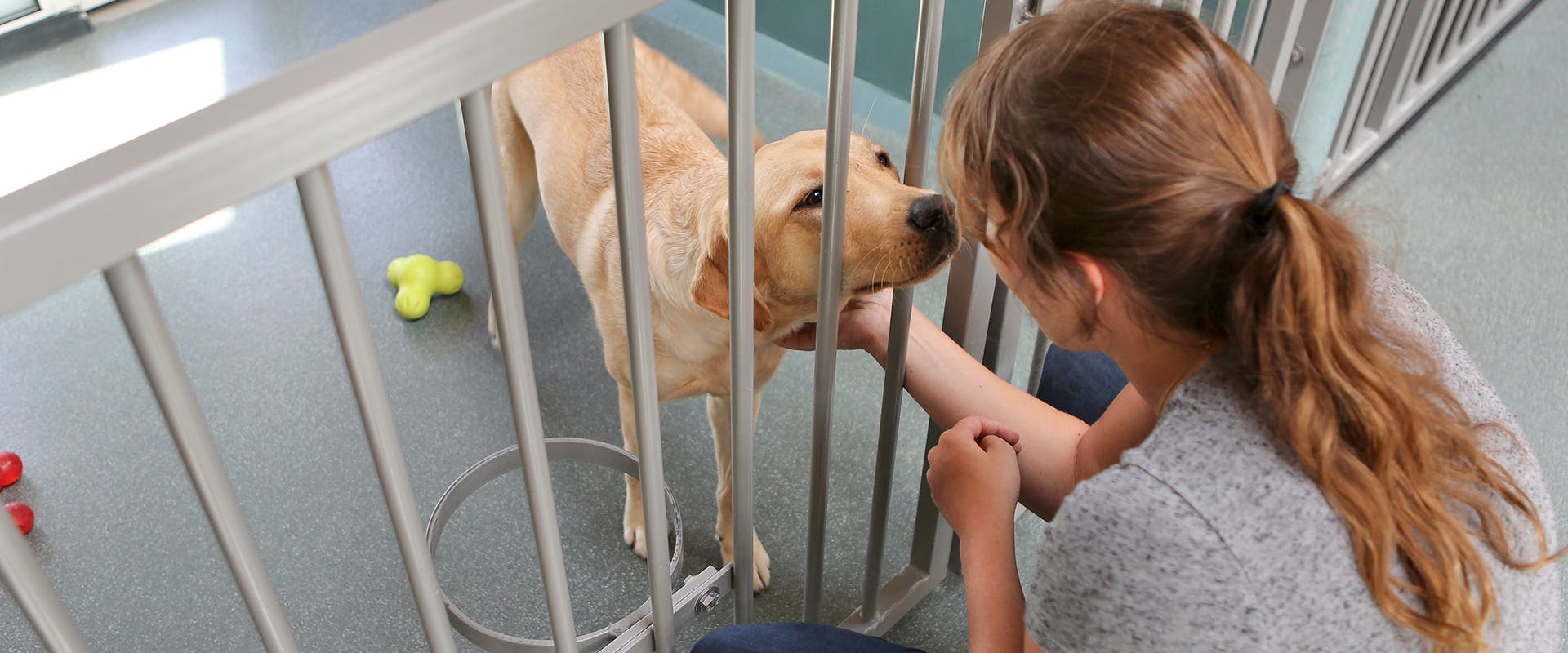 A woman stroking a dog in a dog boarding facility