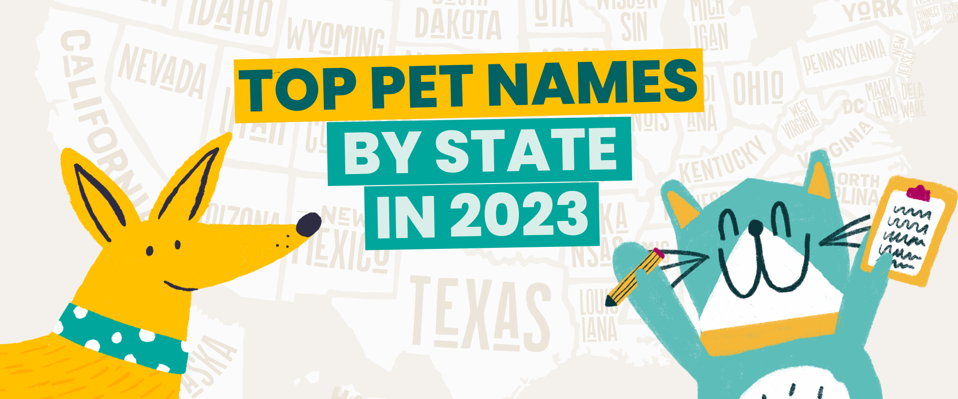 Most Popular Pet Names Of Every State 2023 TrustedHousesitters Com   088b2b3d 7203 4714 9878 Cb44c137b25f Pet Names Cover 