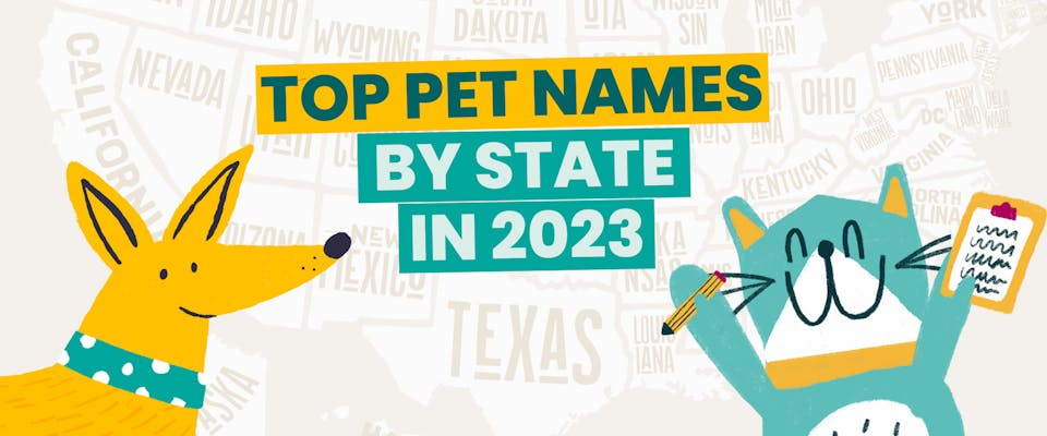 Top pet names by state in 202