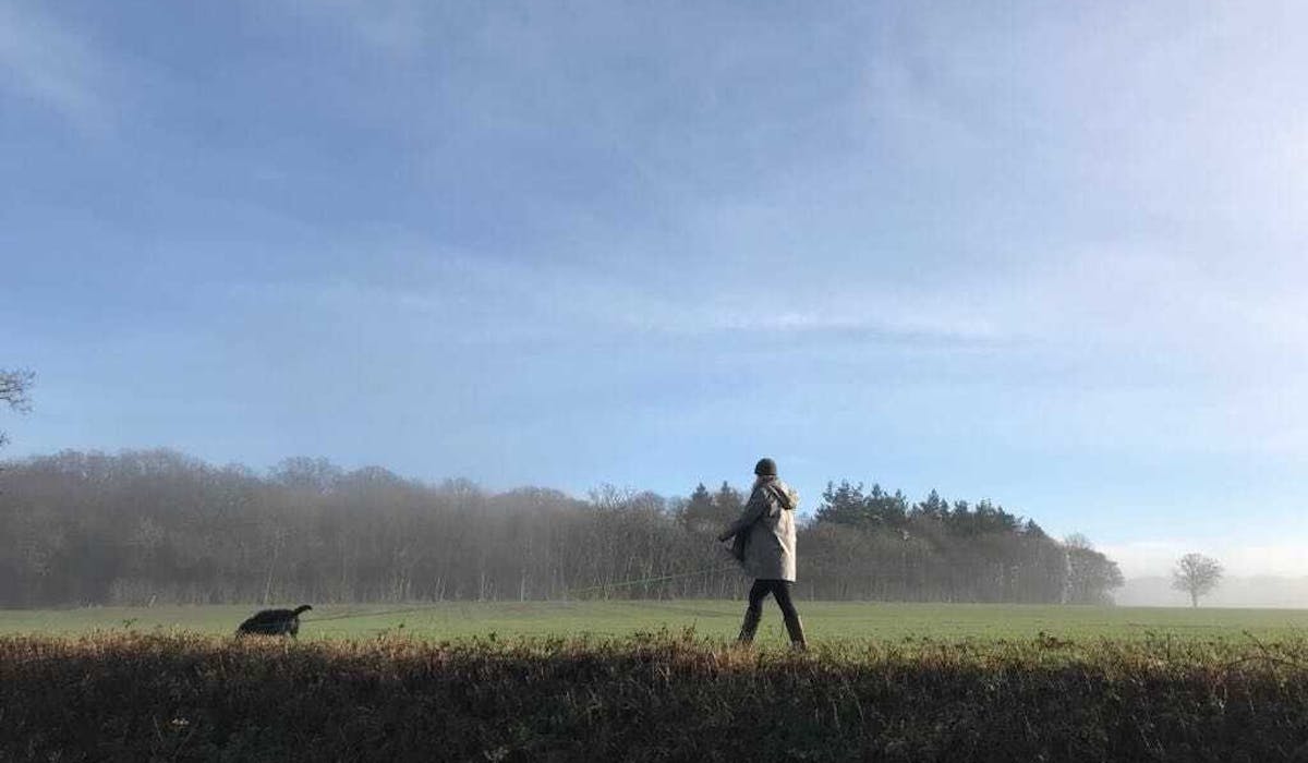 A person walking their dog in a large open field