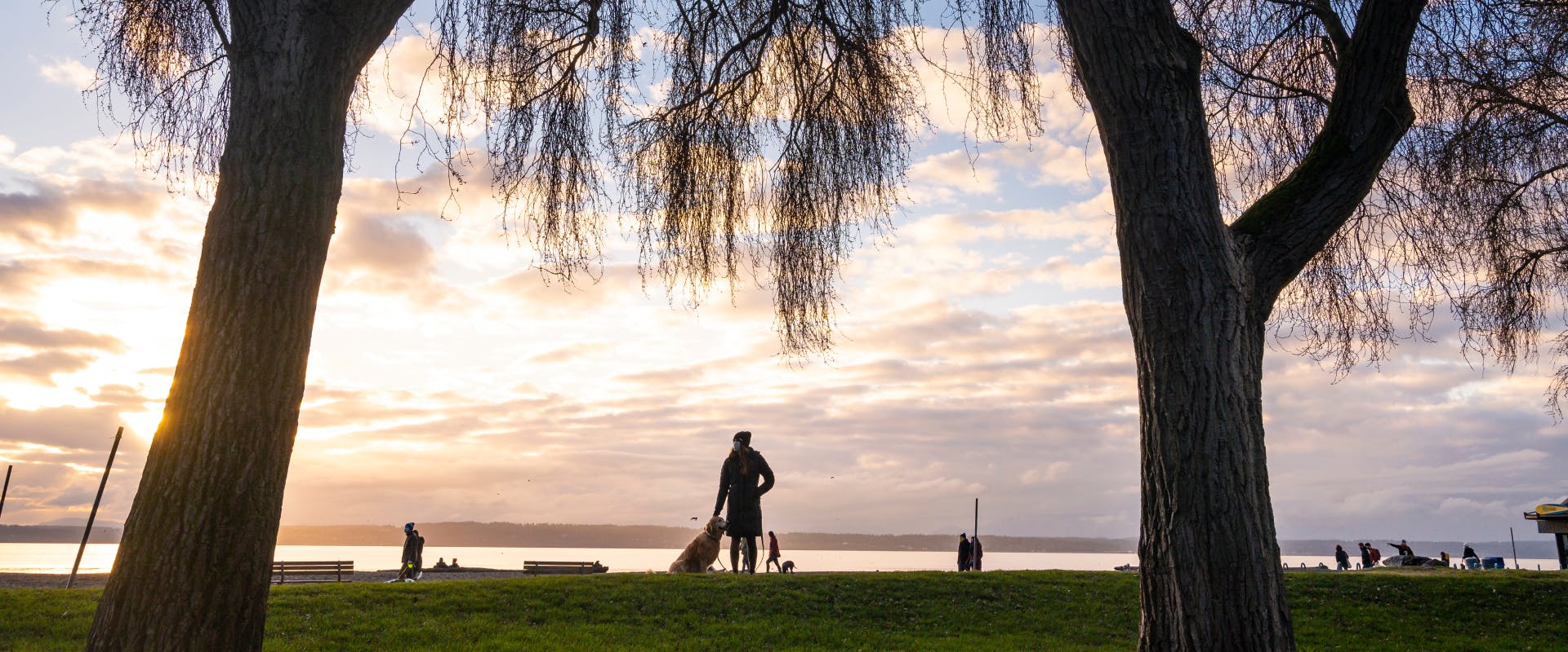 a dog in Seattle sat next to the shoreline with a human looking at the sun set