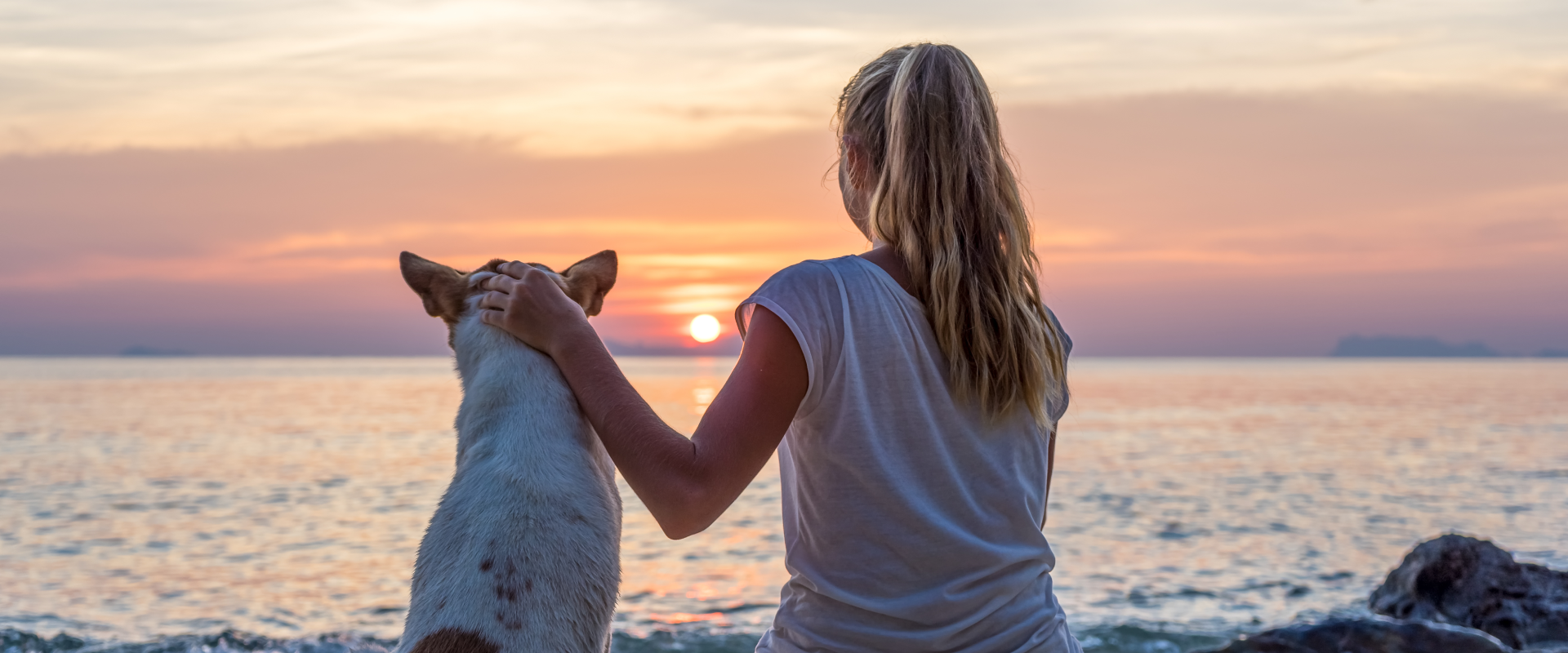a woman and her dog sitting on a Santa Cruz beach watching the sun set over the sea