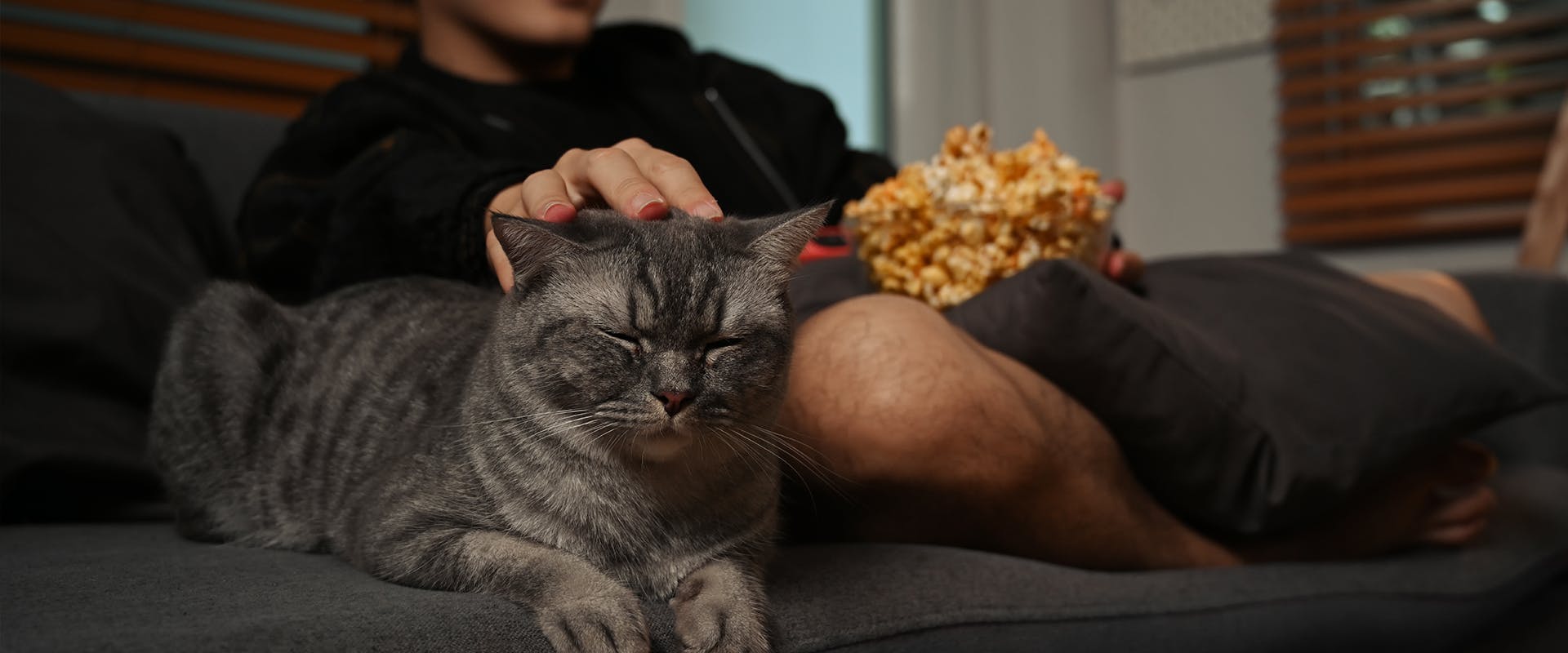 A man eating popcorn on the sofa, sitting next to a sleeping cat