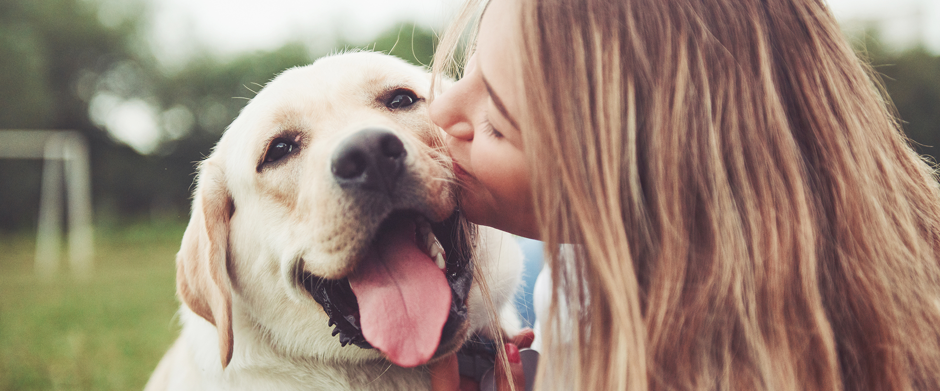 A woman hugging and kissing a yellow Labrador Retriever