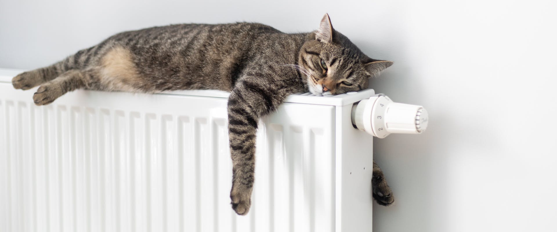 A cat stretches out on a radiator.