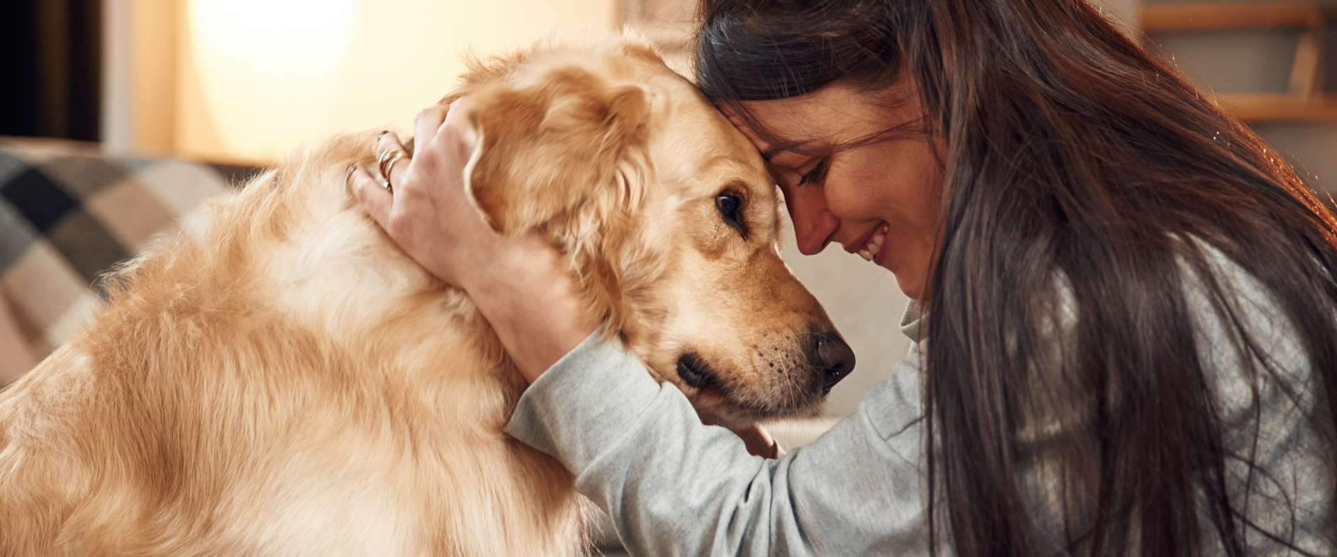 woman hugging the head of a golden retriever