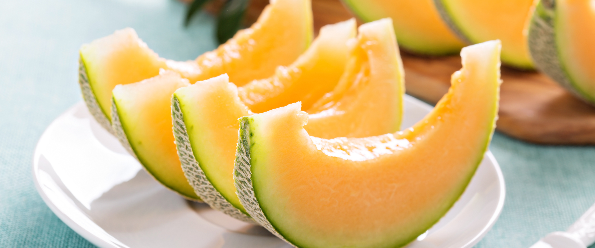 Can Dogs Eat Cantaloupe?