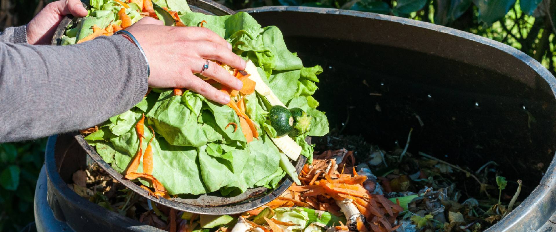 Is Compost Poisonous to Dogs?