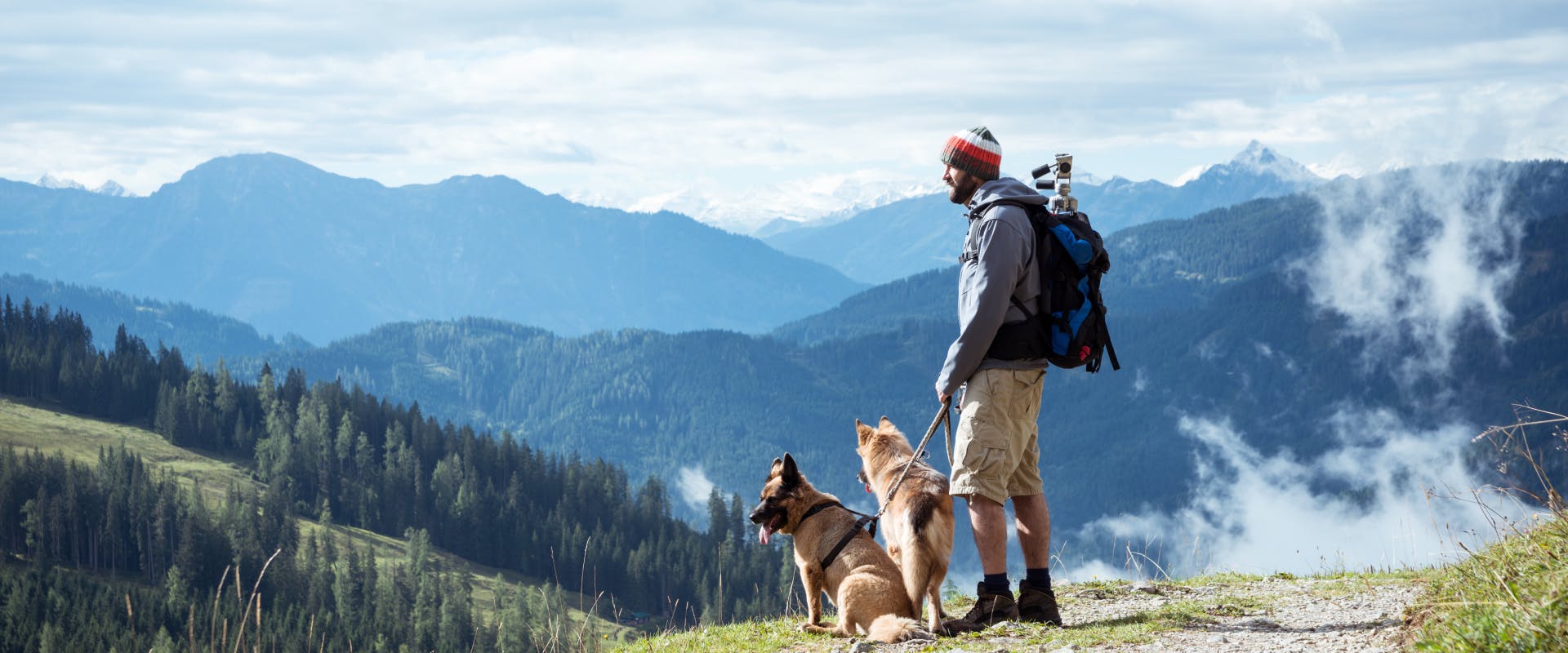 Man hiking with two dogs on the top of a hill.