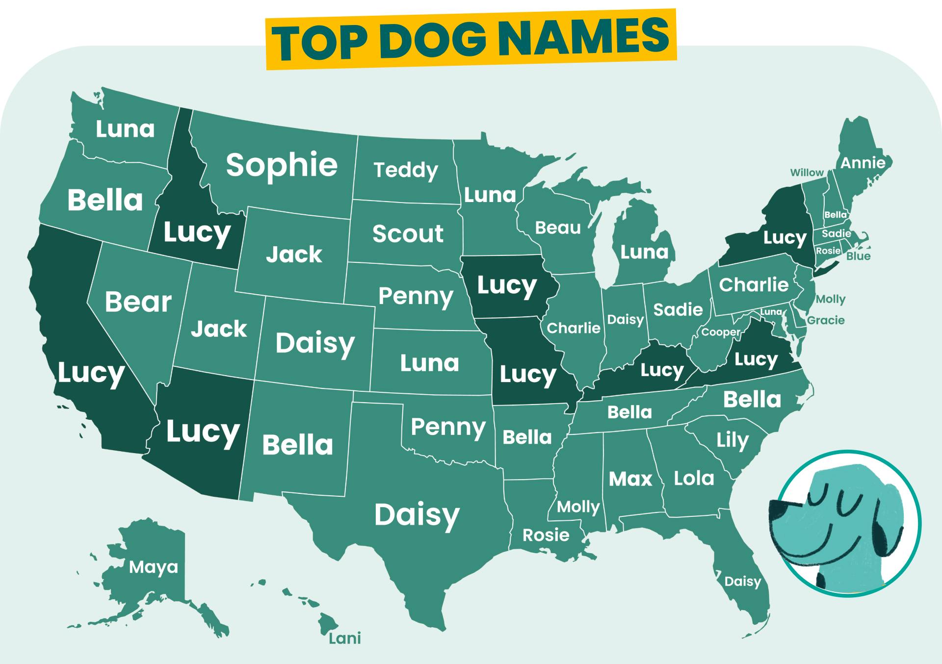 Top dog names by US state