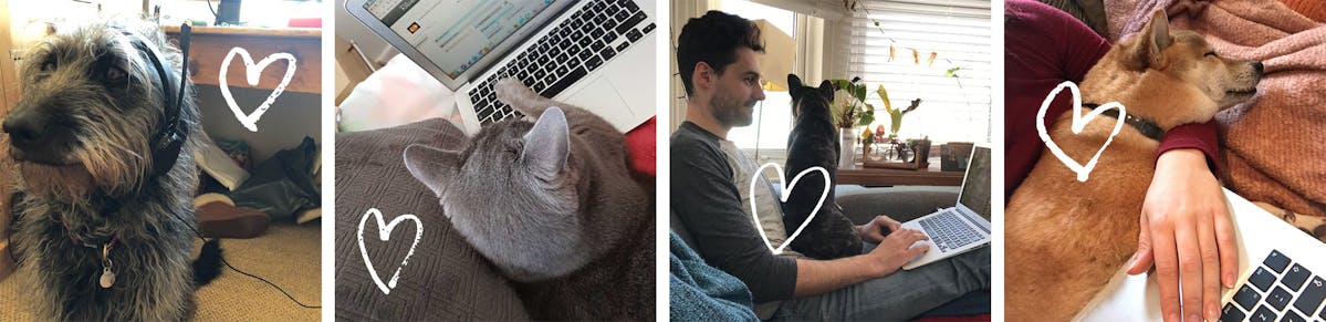 Members of the TrustedHousesitters team working from home with their pets