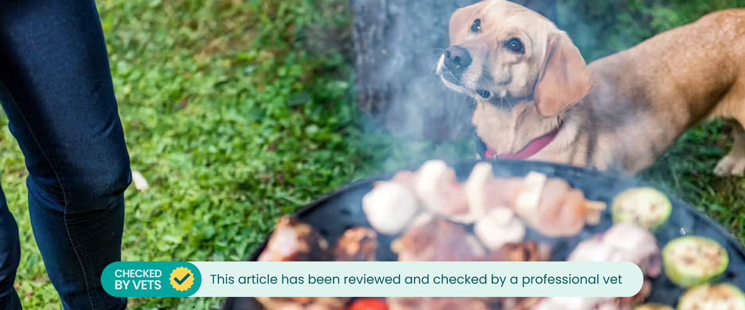A dog standing next to its owner, who is cooking meat and vegetables on a barbecue