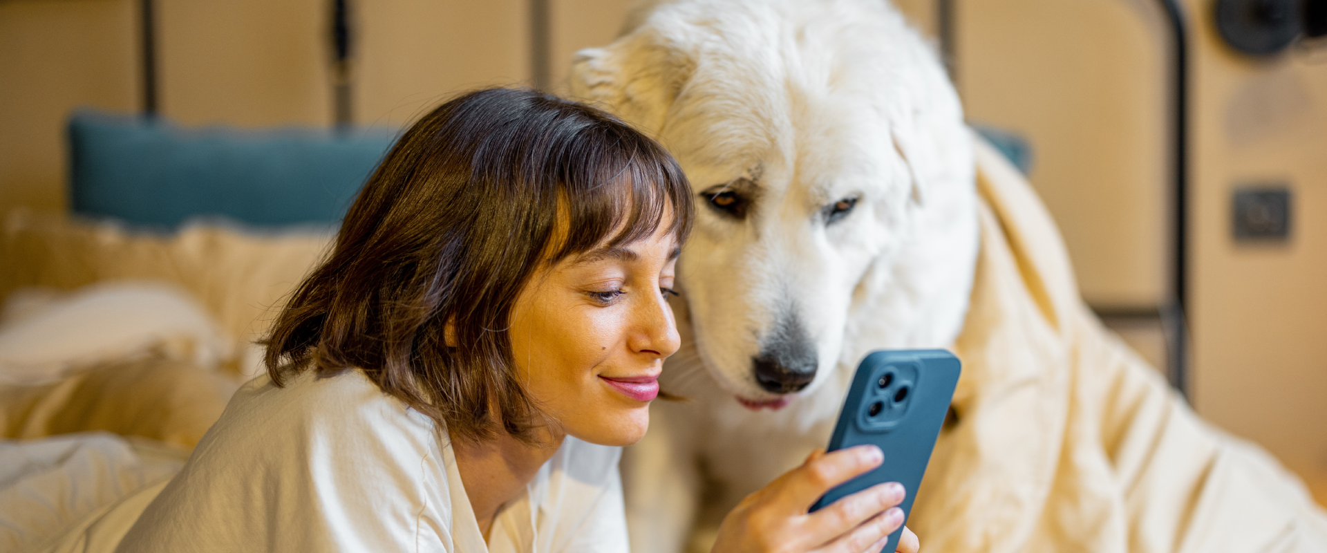 a dog sitter requesting a dog sitting reference on her phone whilst being watched by a bit white dog