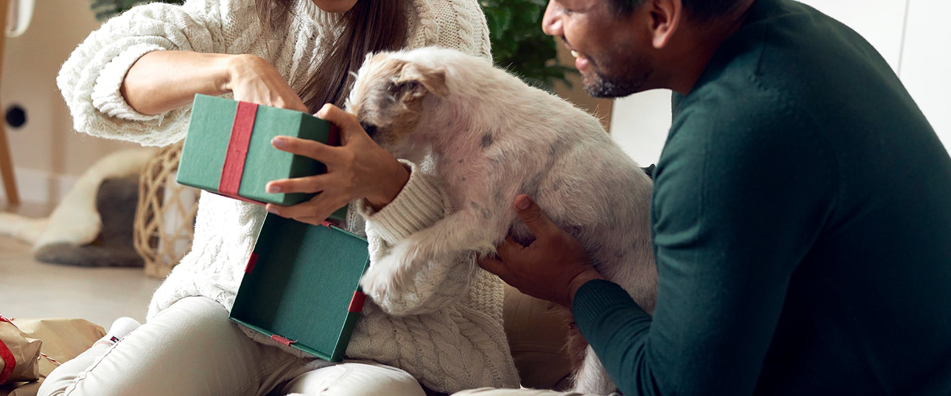 A man and a woman opening a gift, a dog sticking its head inside the giftbox