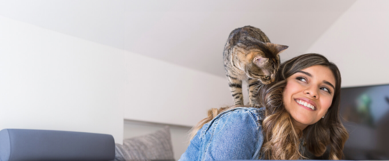 Cat sitter best sale north york