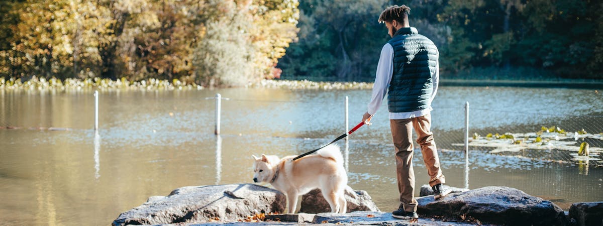Man walking a dog by a lake