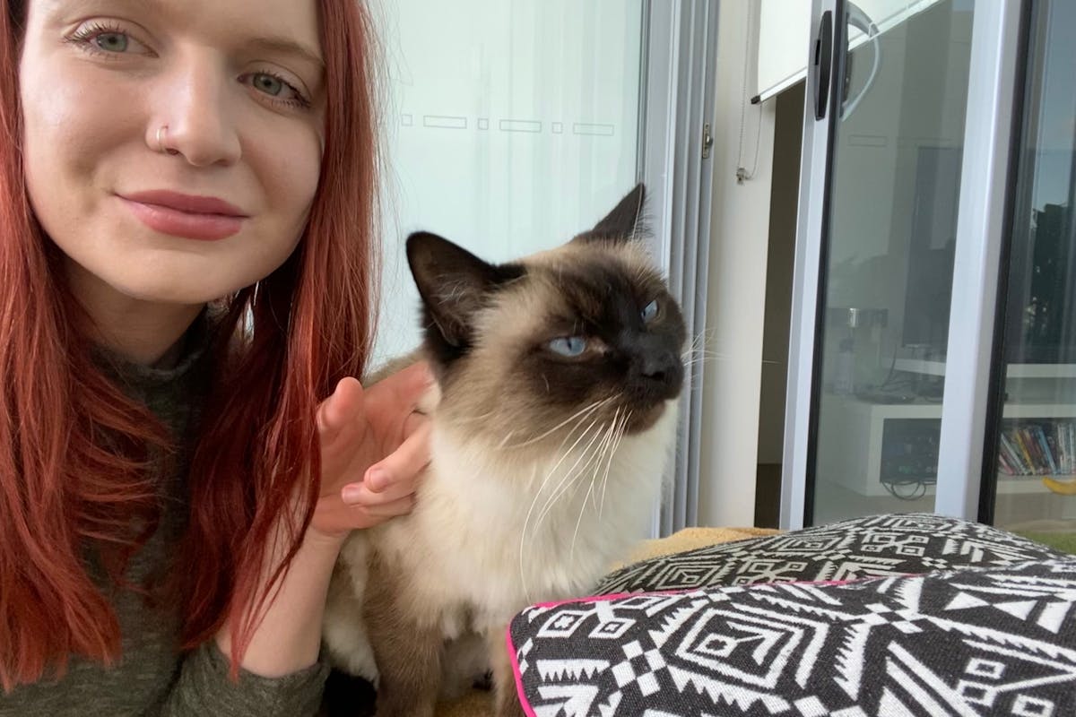 A woman with red hair stroking a ragdoll cat