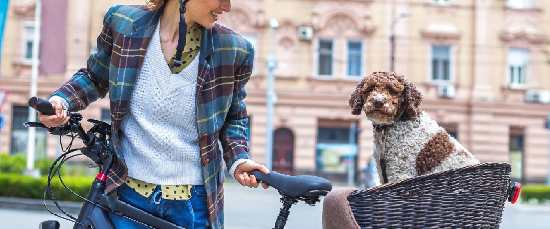 Person with a dog in a bicycle basket