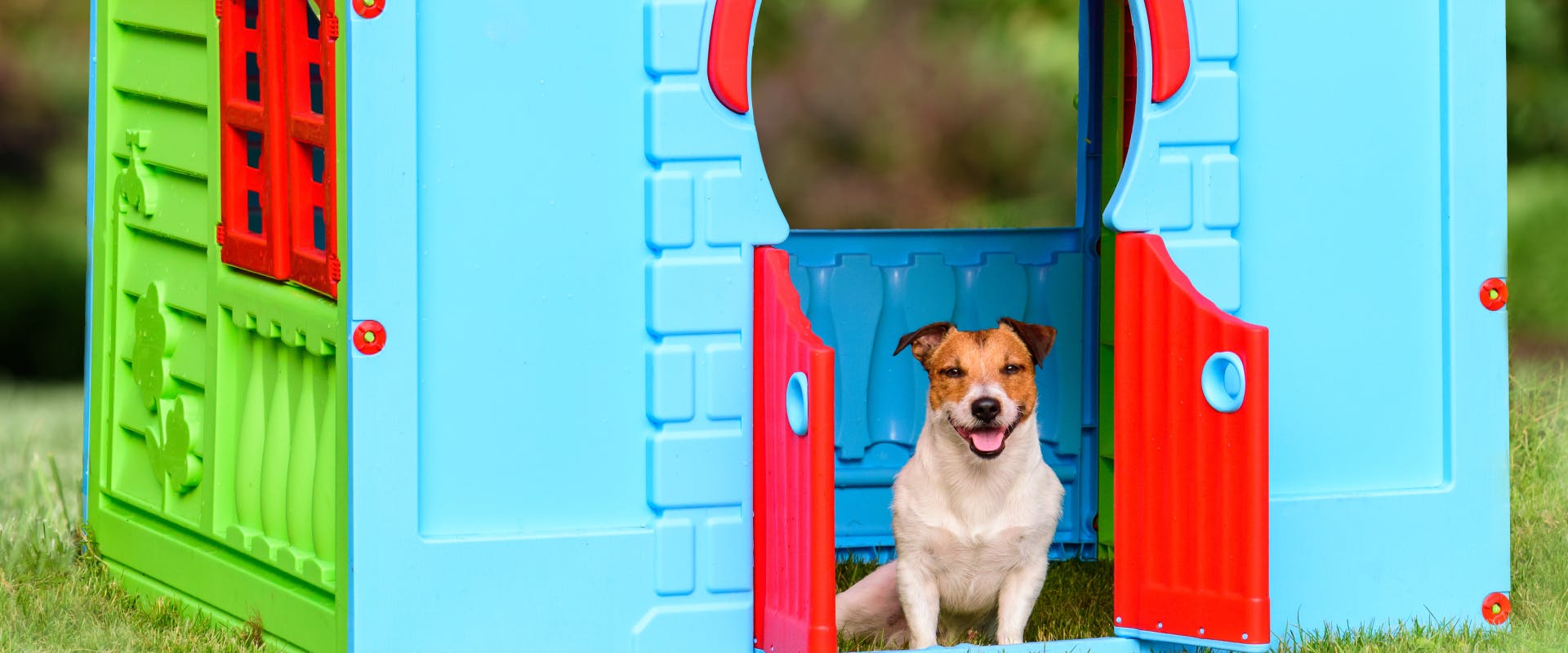 a jack russell sat in the doorway of a plastic luxury dog mansion
