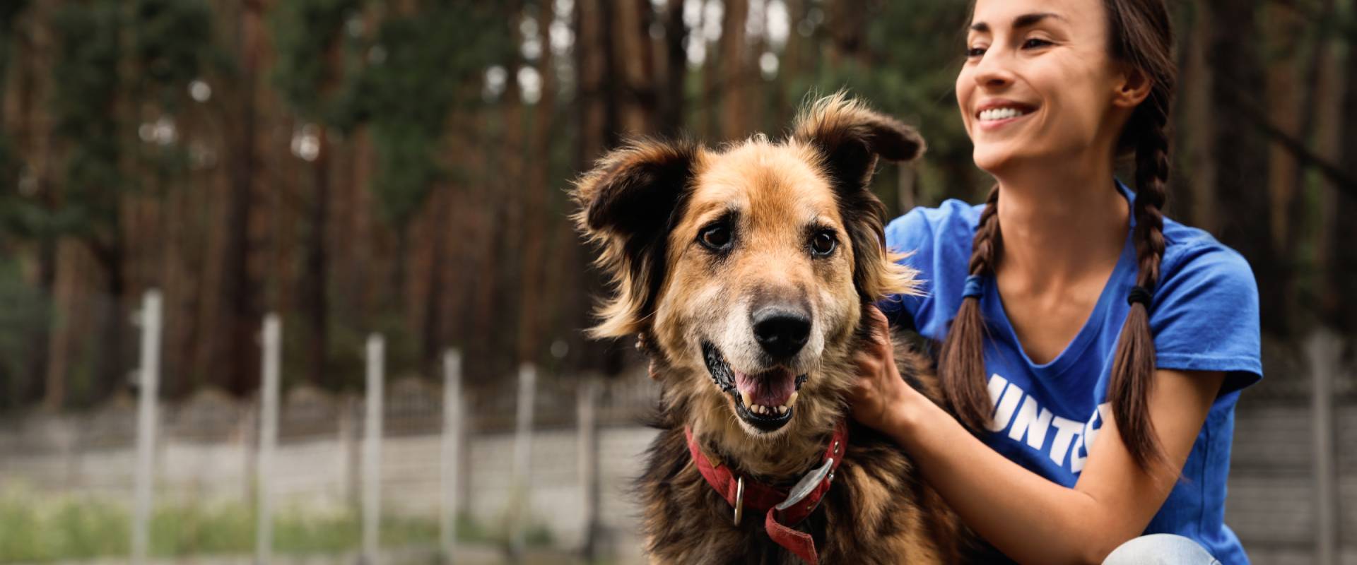 What is a mutt? Understanding mixed breed dogs