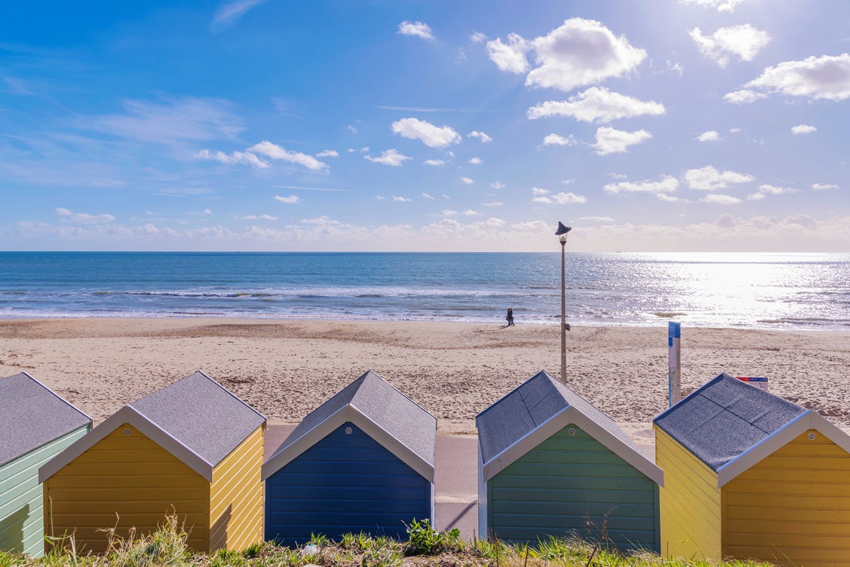 is boscombe beach dog friendly