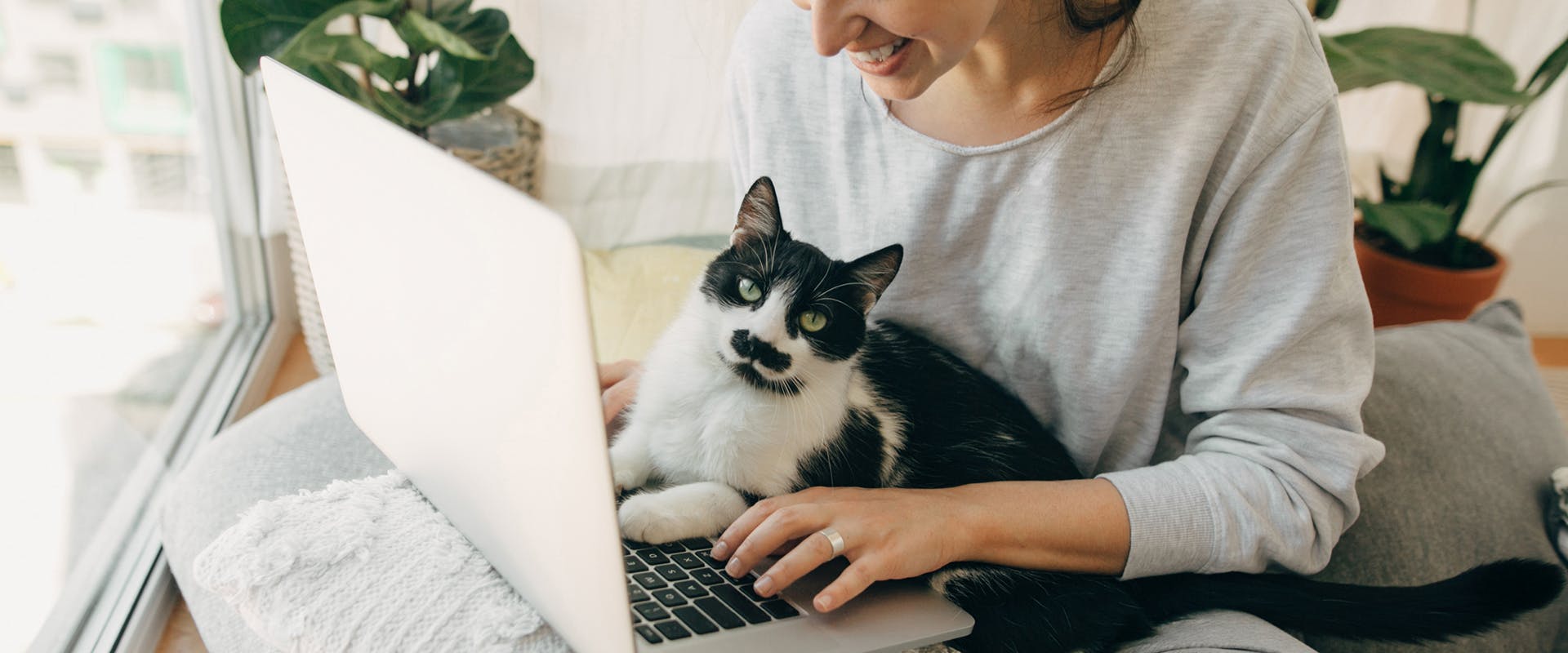 A woman working on her laptop, a cat sitting on her lap
