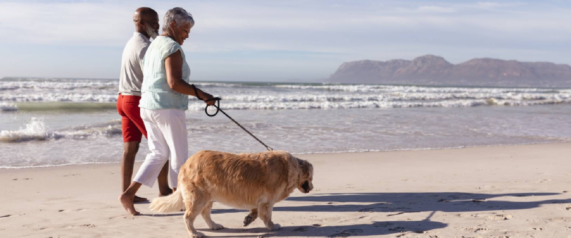 Couple walking a dog on the beach