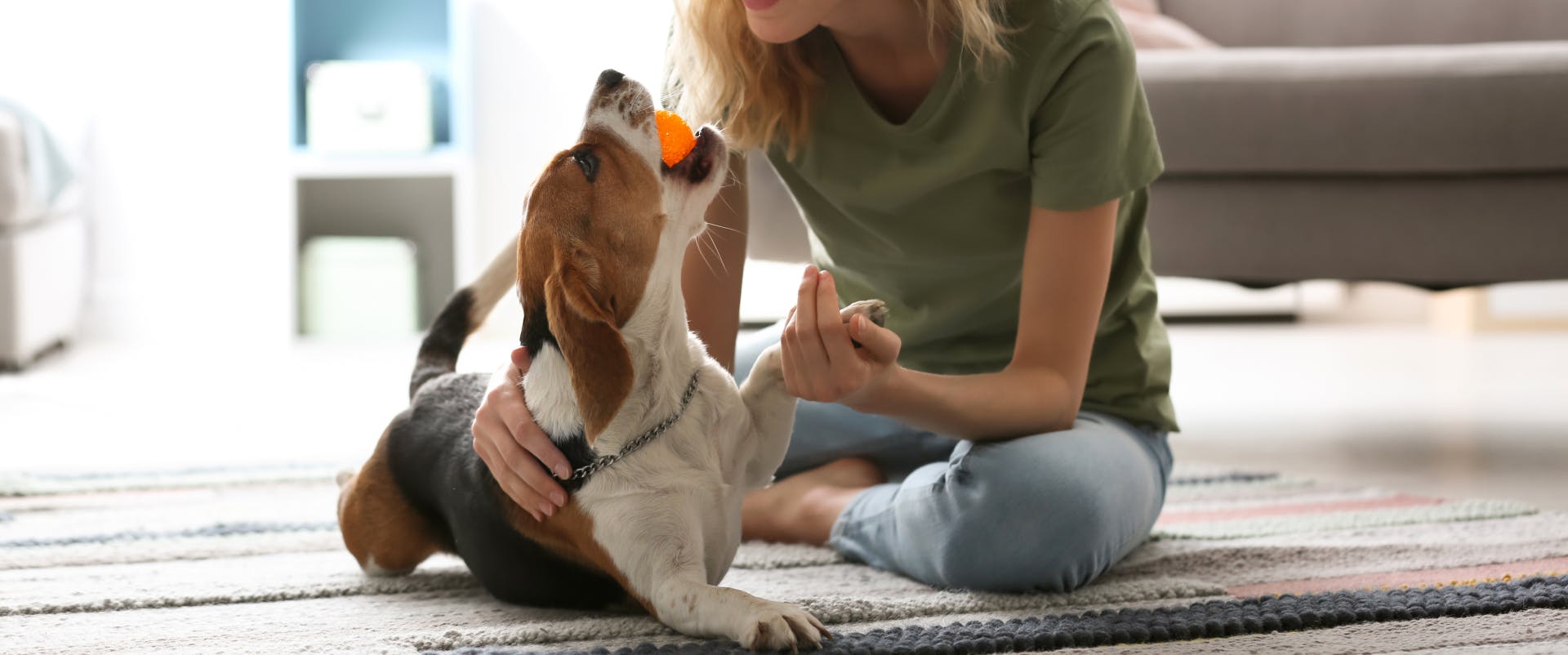 Human Names For Dogs TrustedHousesitters human-names-for-dogs-trustedhousesitters