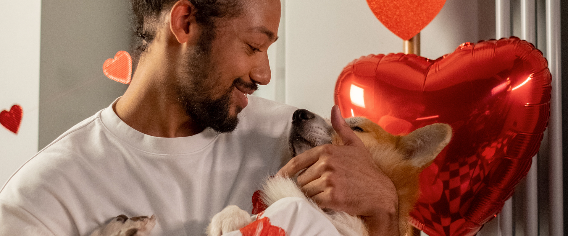 How to show your dog you love them: a man holding a dog