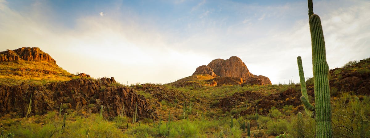 Tucson, Arizona, United States