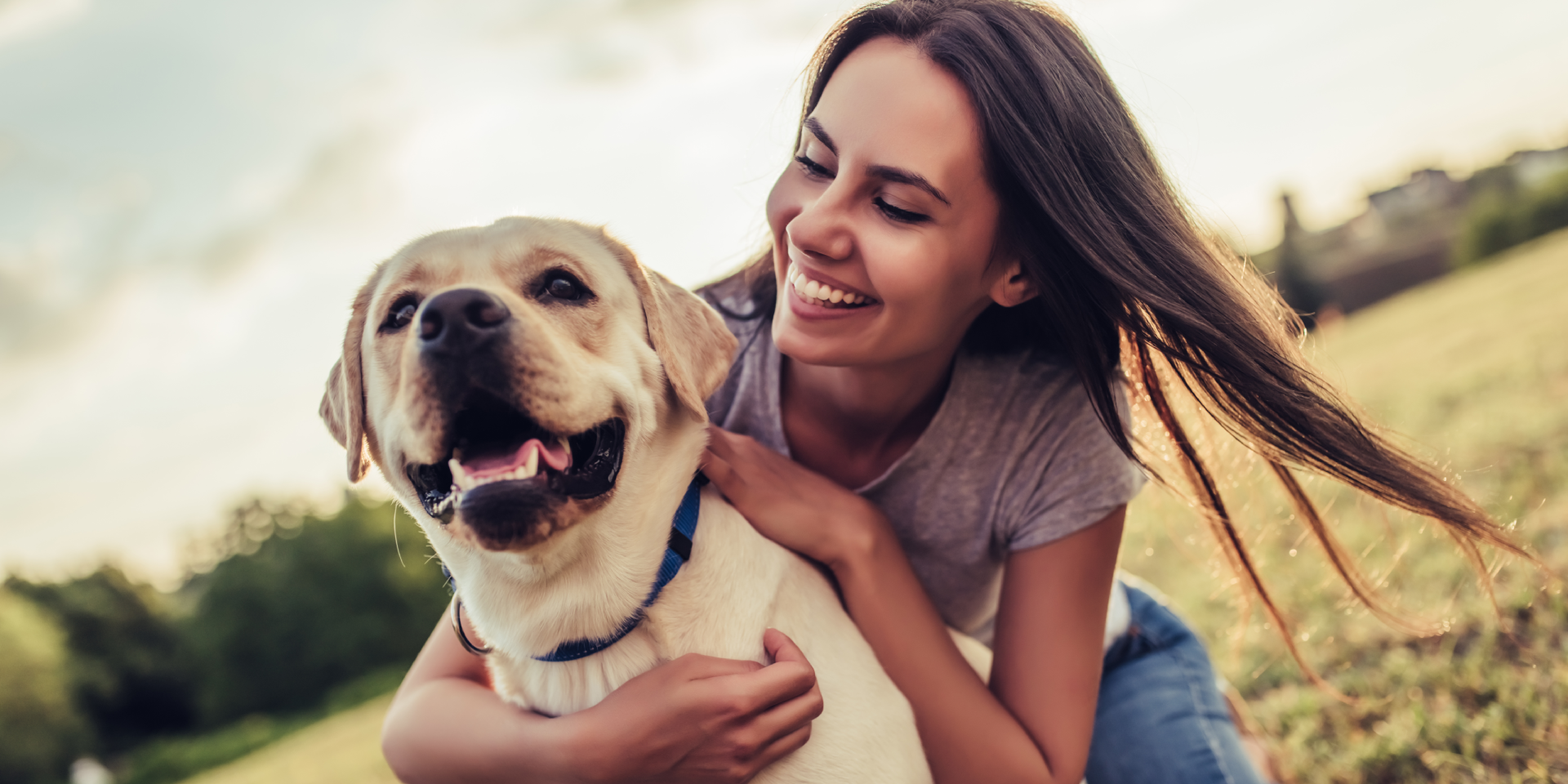 Dog and owner in a field.