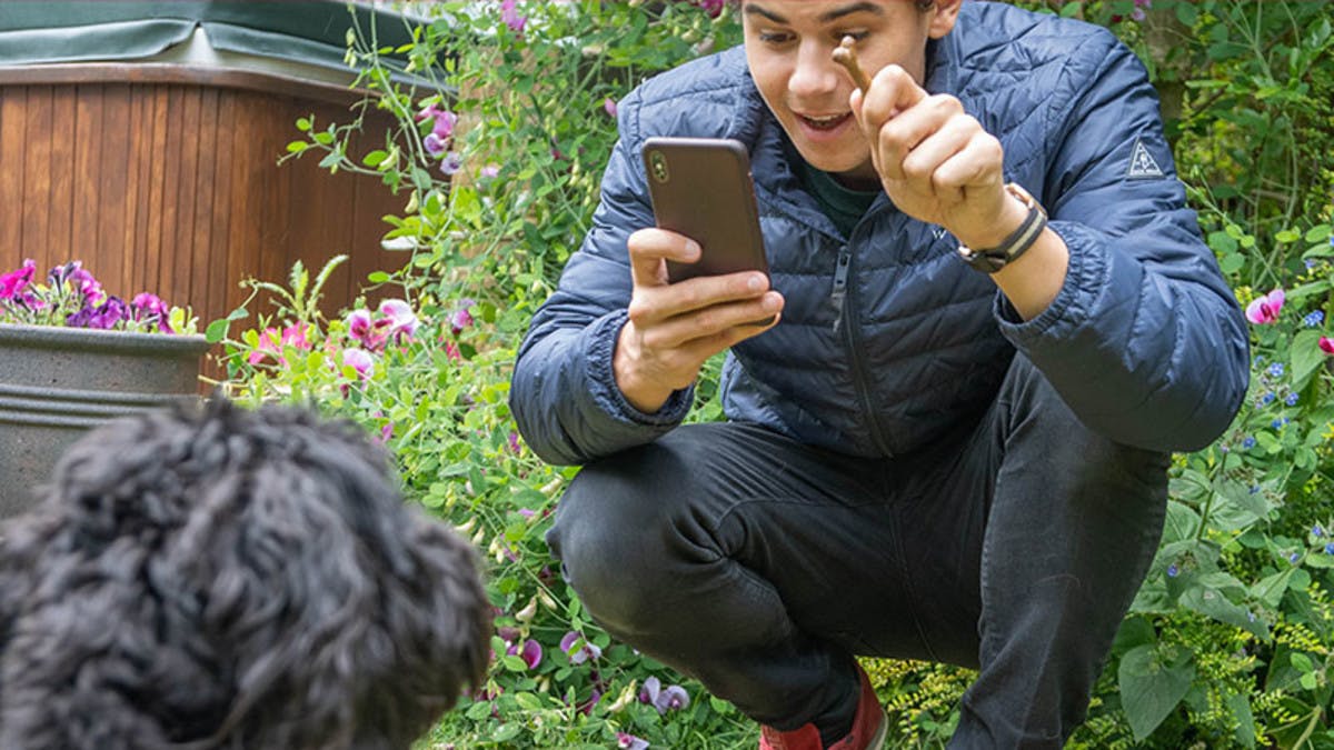 Holding a treat next to camera in order to get a dog to look