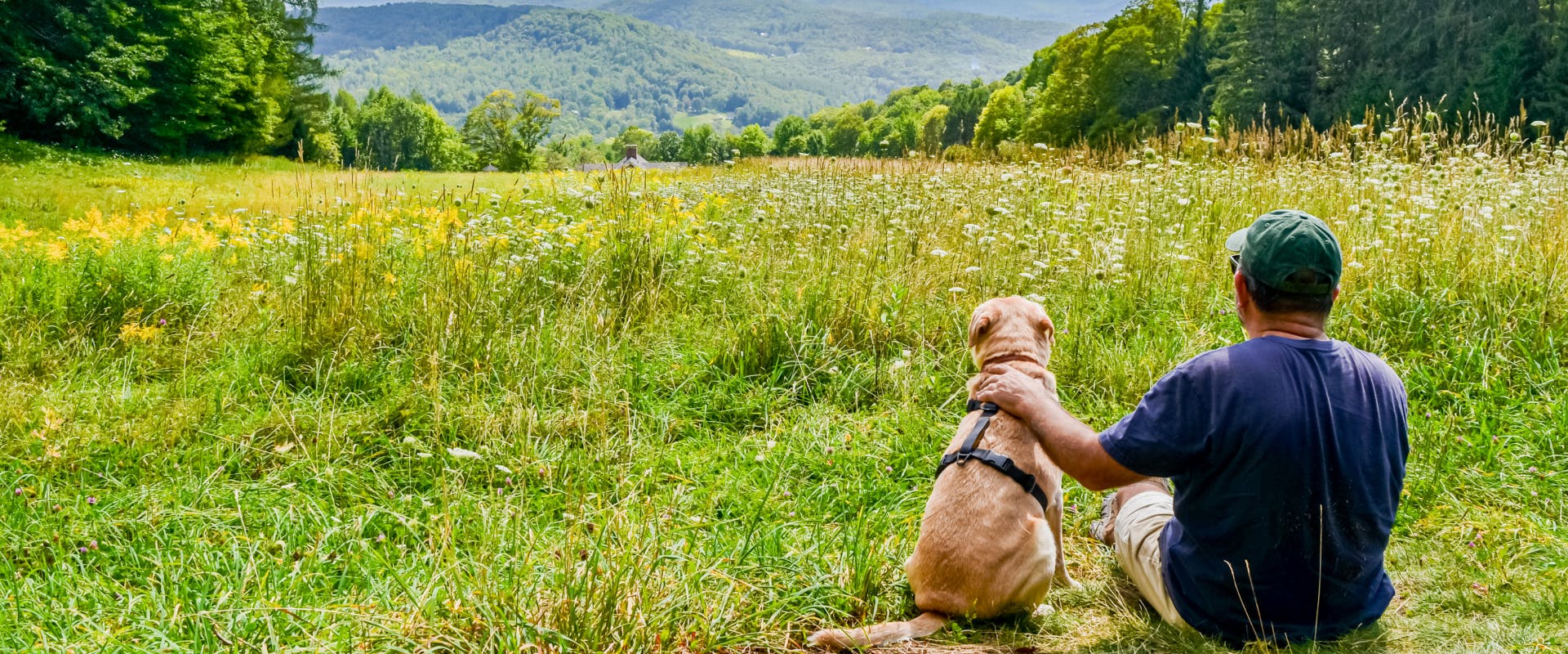 dog and man sat in a field looking at a hilly view