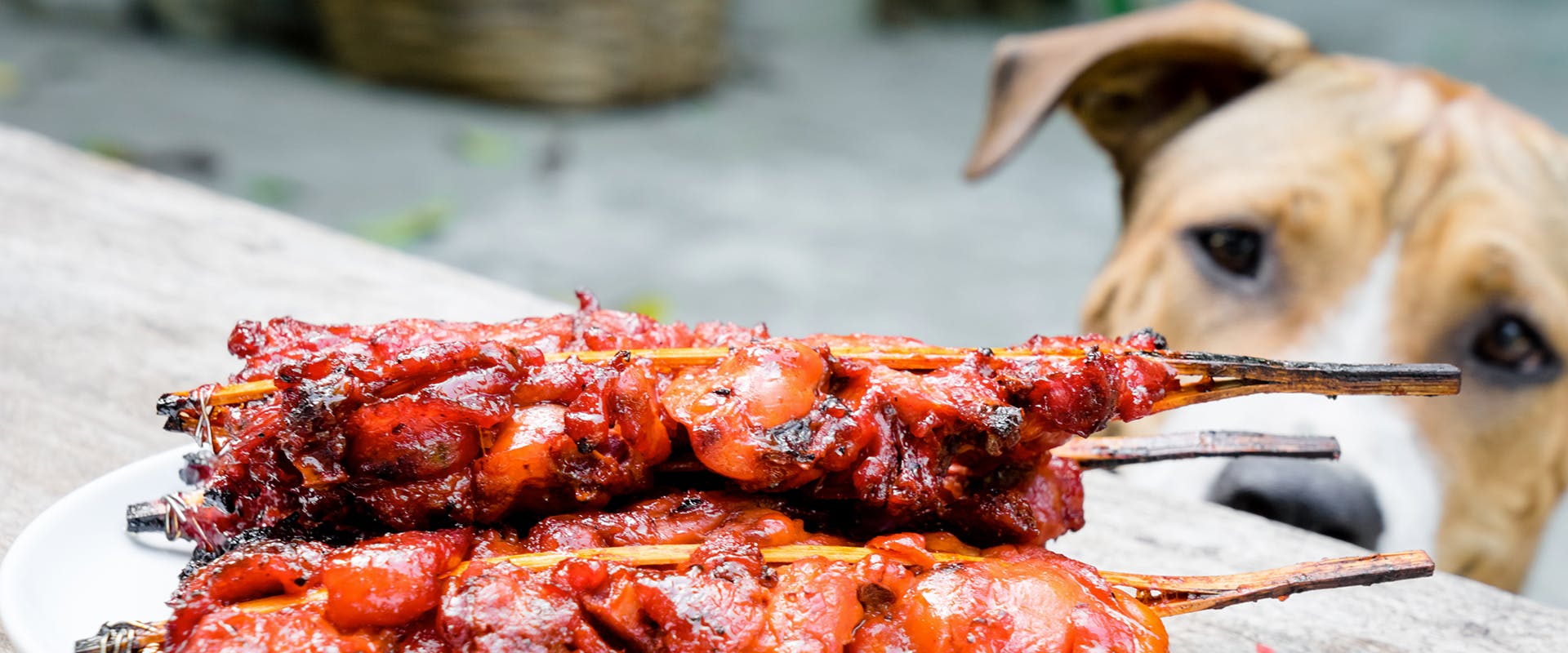A dog staring at a plate of barbecued meat