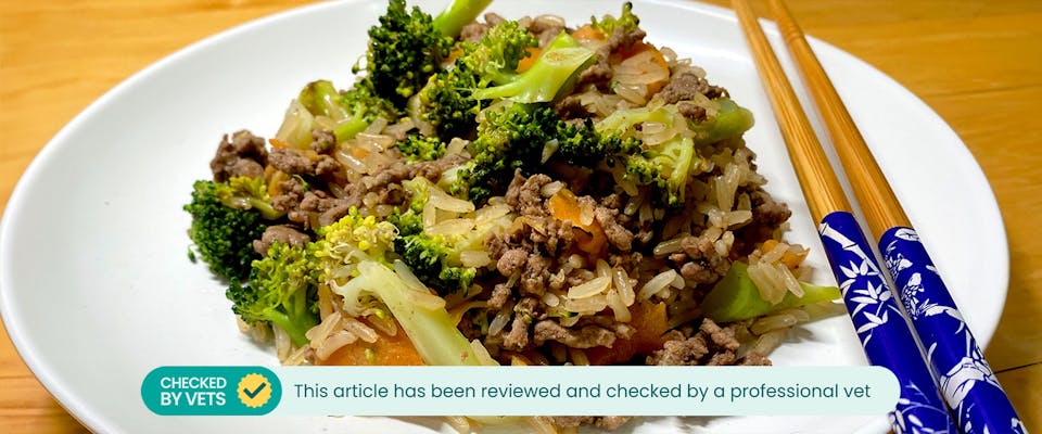 Dine With Your Dog: Barking Beef Broccoli & Rice Stir Fry
