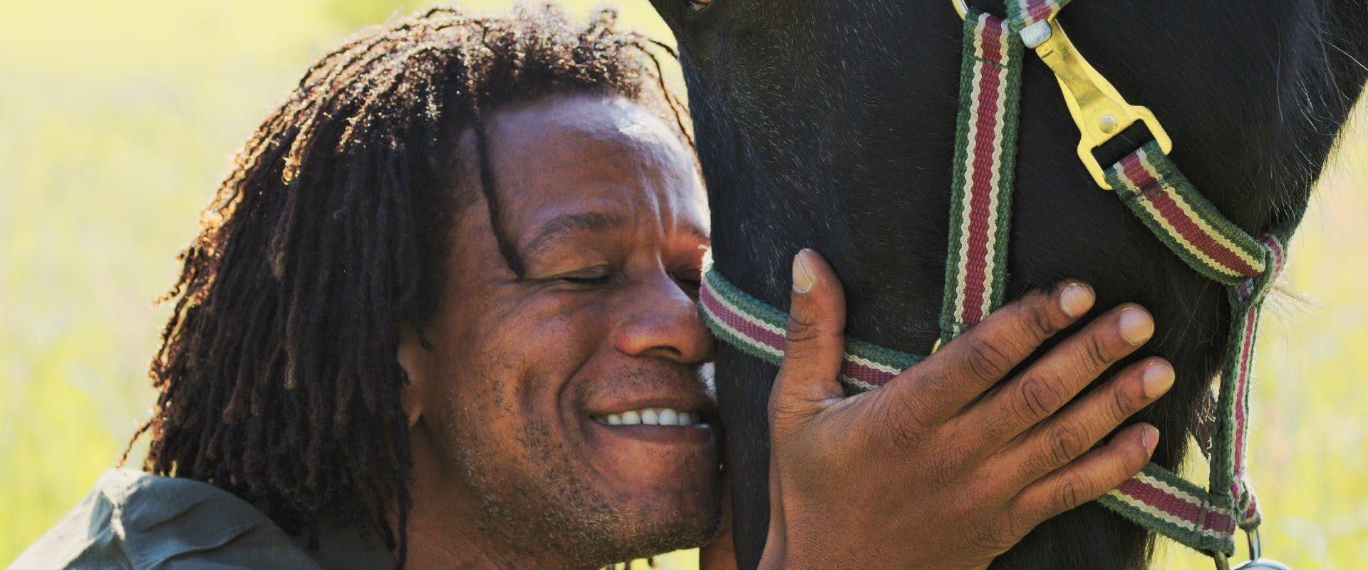 a man stroking the nose of a black horse whilst horse pet sitting