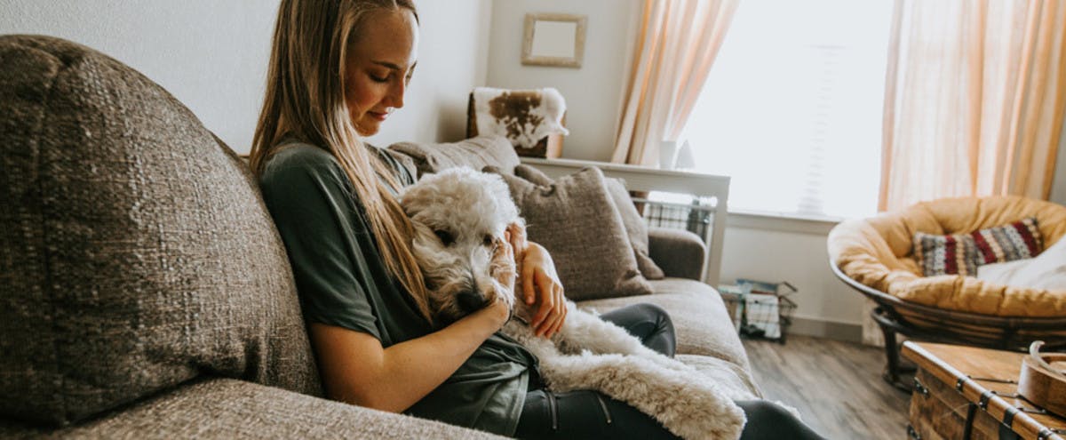Pet sitter relaxing with a dog