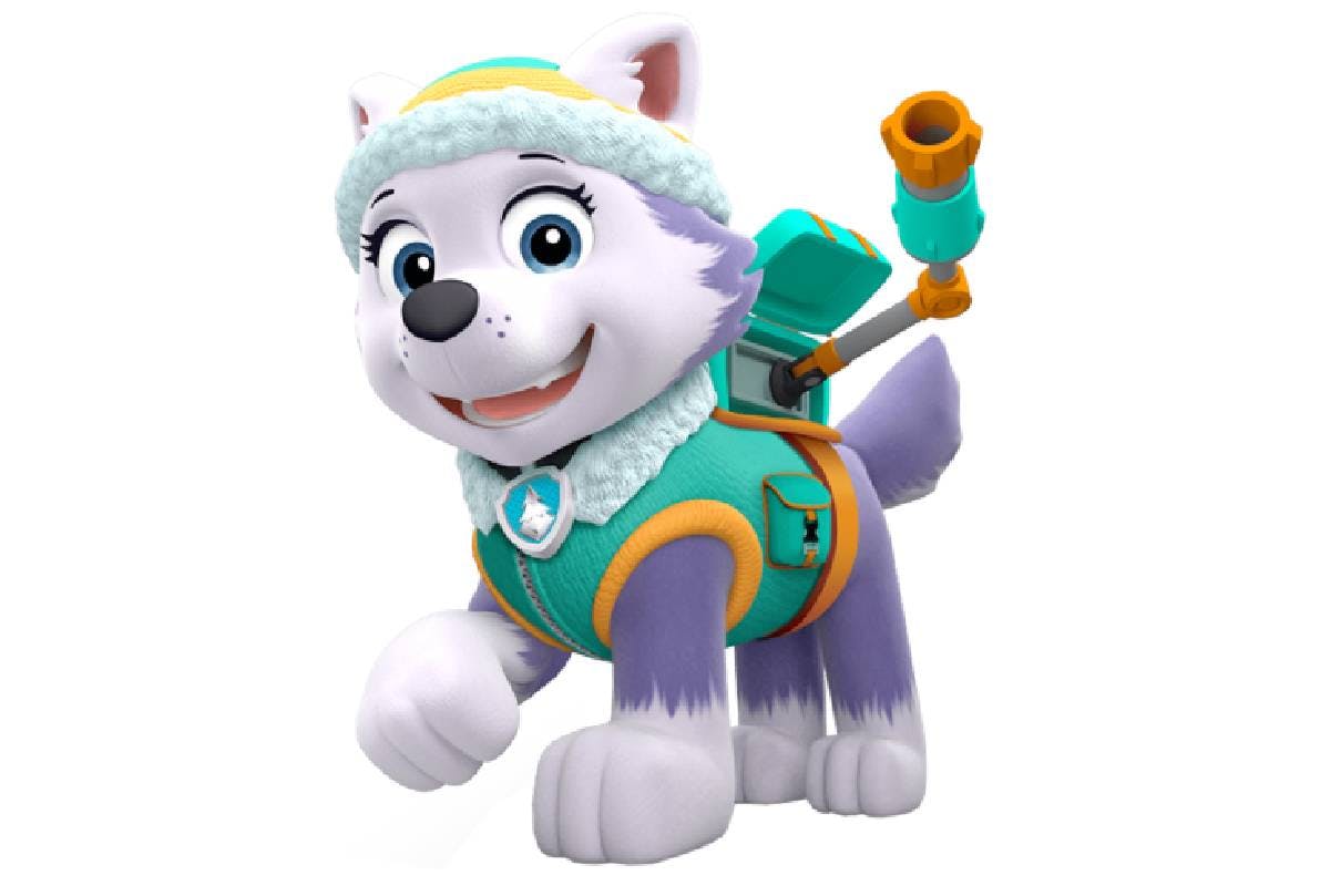 what kind of dogs are the paw patrol pups