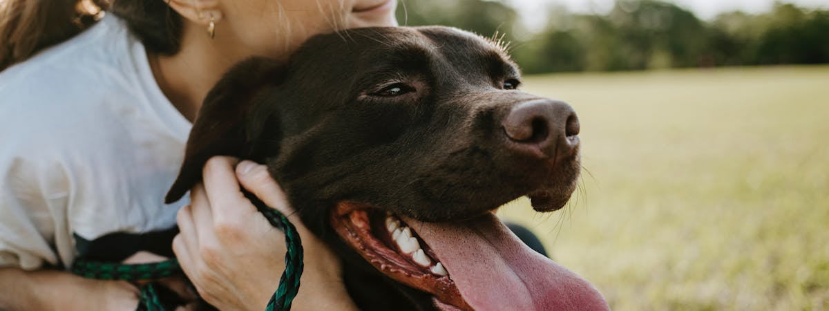 Woman hugging a dog